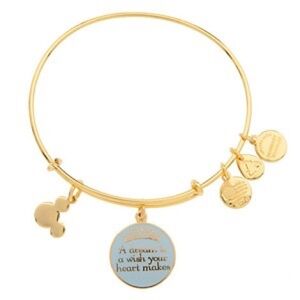 Alex and Ani Disney Charm Bracelet